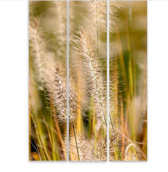 Flächenvorhang Spätsommergras 3er Set, Schiebegardine, Schiebegardinen, blickdicht, Flächenvorhang blickdich